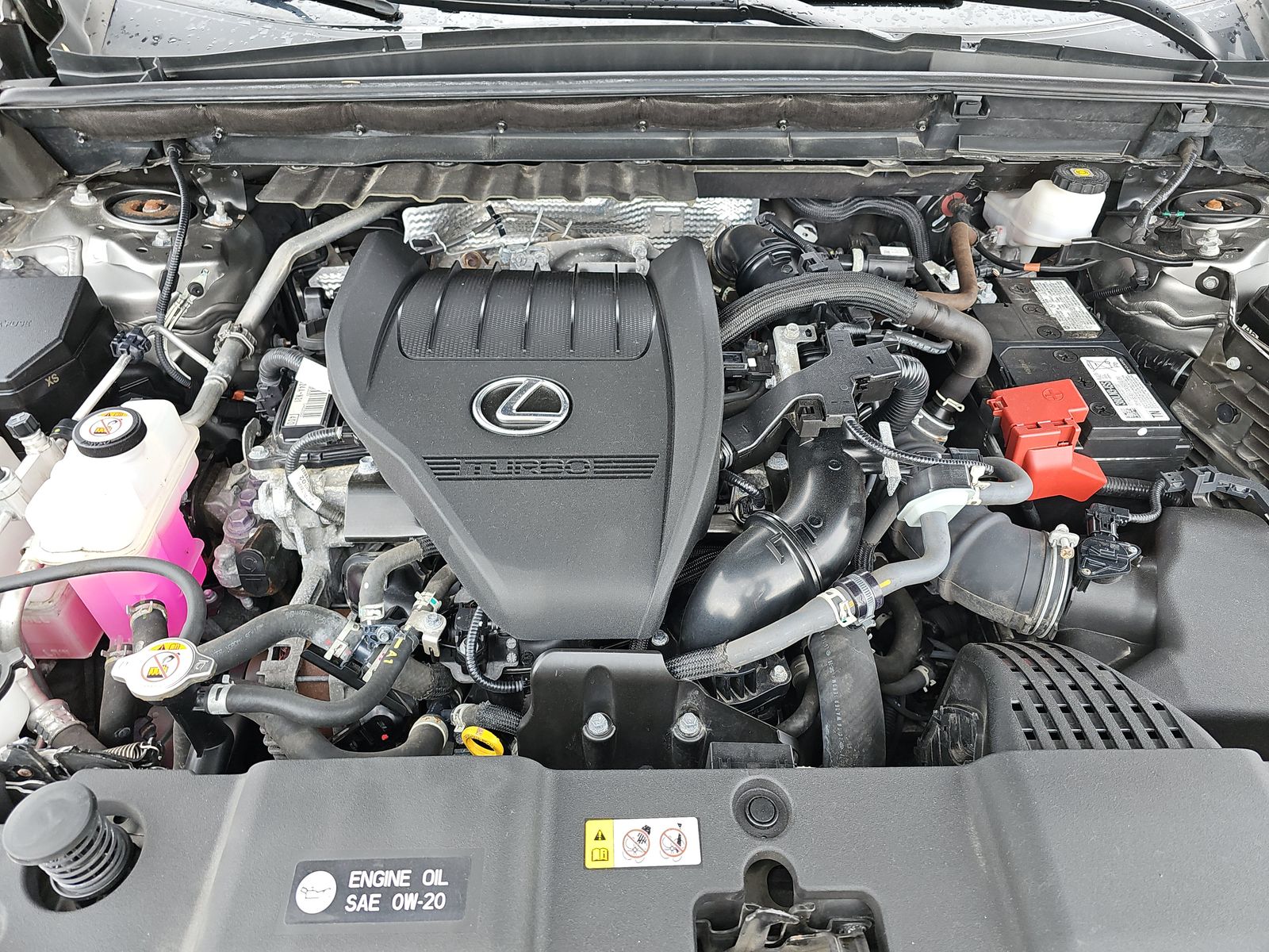 2022 Lexus NX NX 350 Premium AWD
