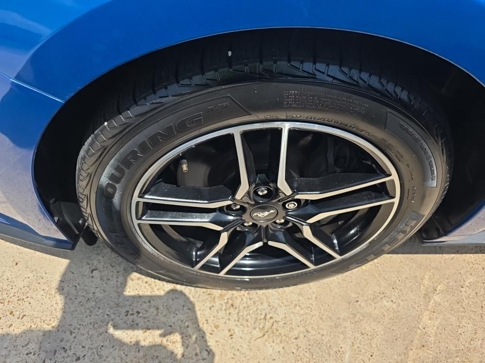 2021 Ford Mustang GT RWD