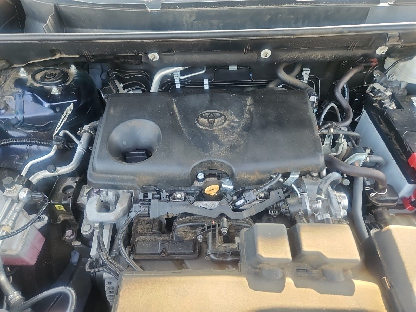 2023 Toyota RAV4 XLE AWD