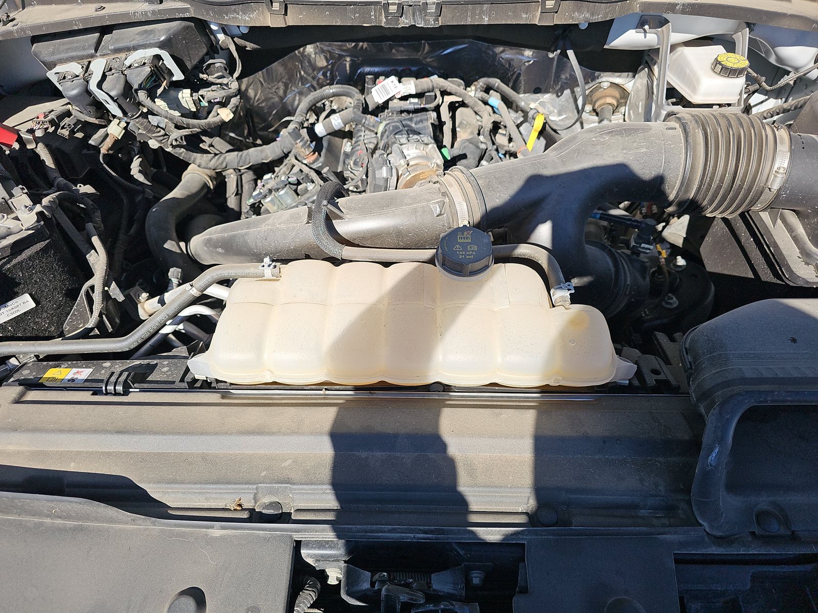 2025 Ford F-150 XLT RWD