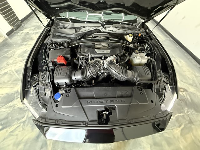 2024 Ford Mustang Dark Horse RWD
