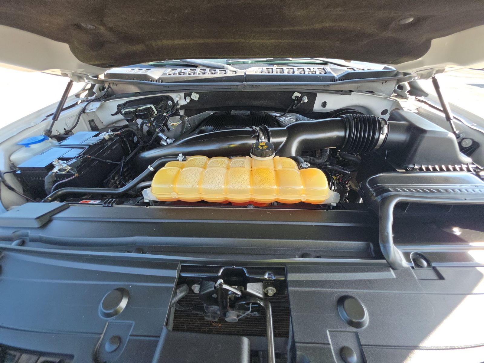 2019 Ford F-150 XLT RWD