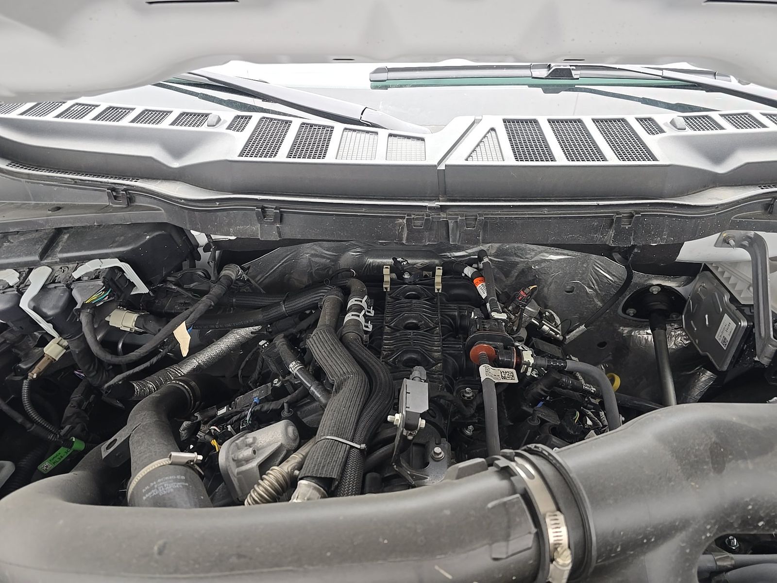 2025 Ford F-150 XLT AWD