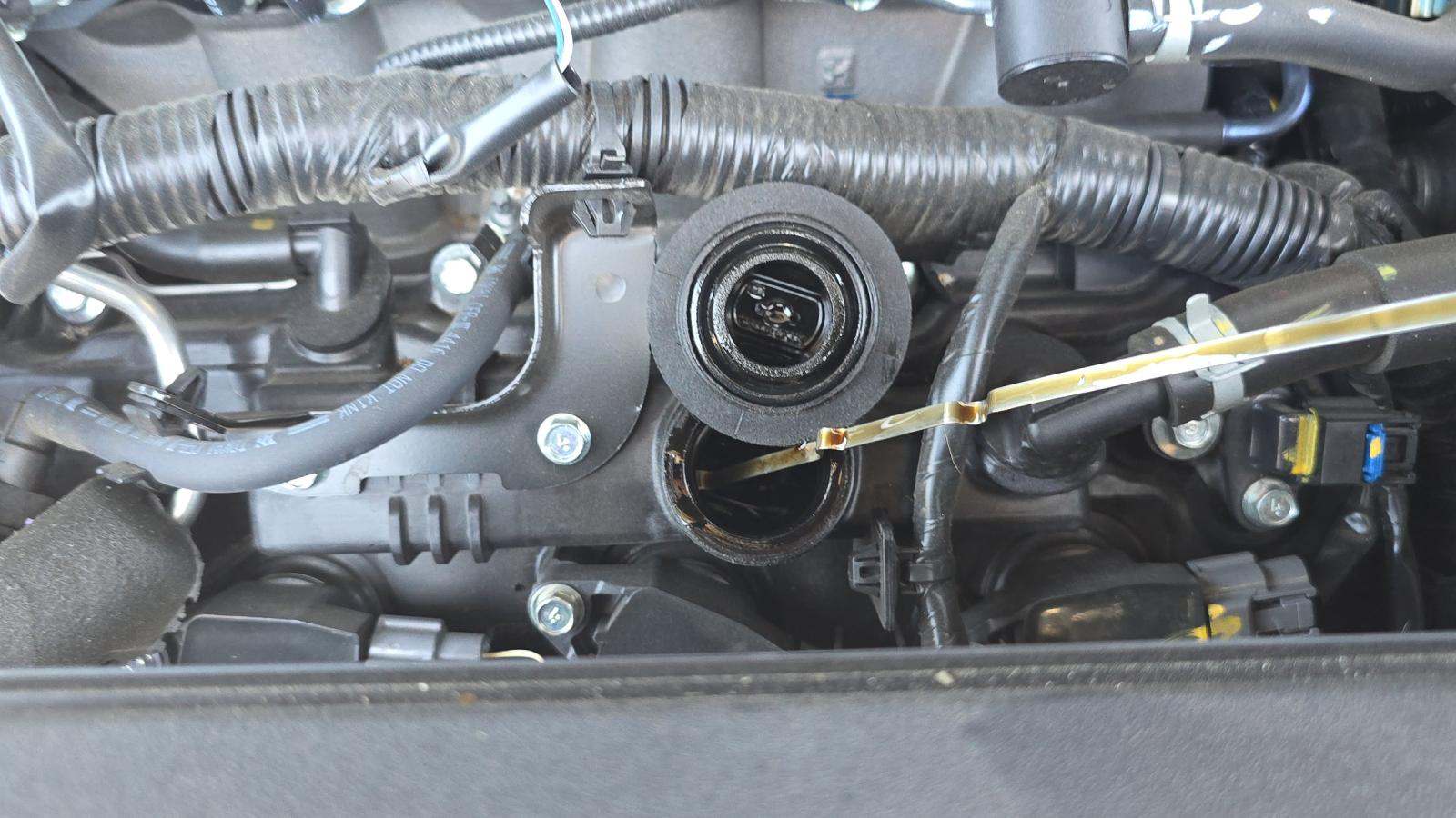 2025 Nissan Pathfinder Rock Creek AWD