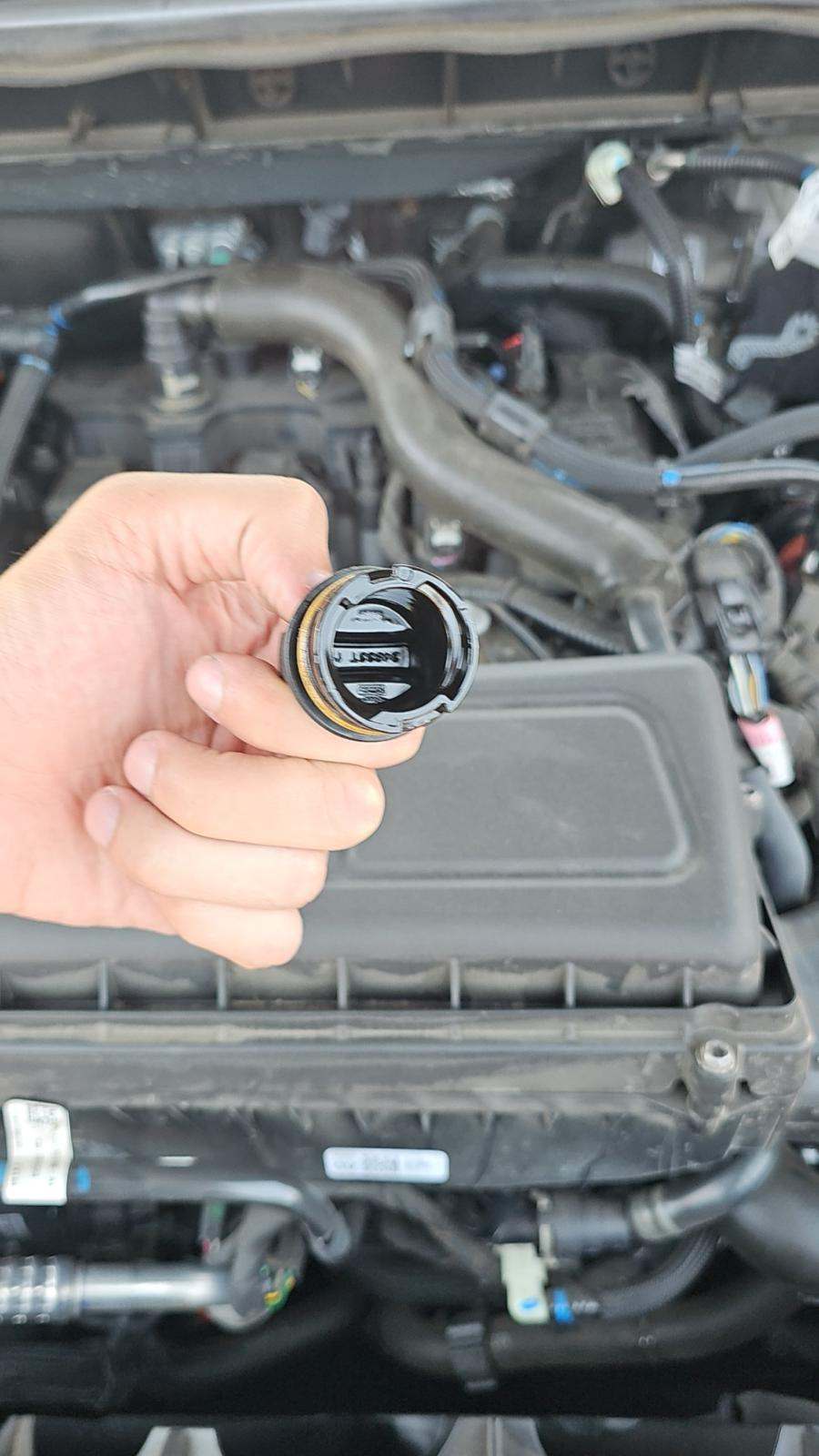 2024 Ford Escape ST-Line FWD