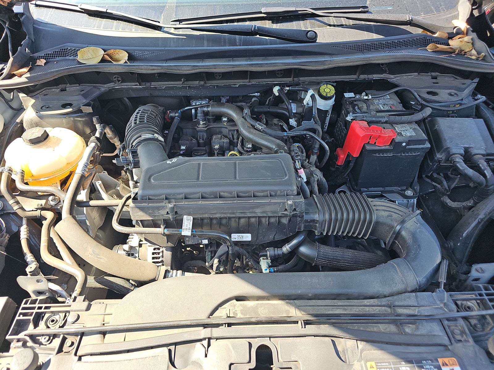 2024 Ford Escape ST-Line FWD