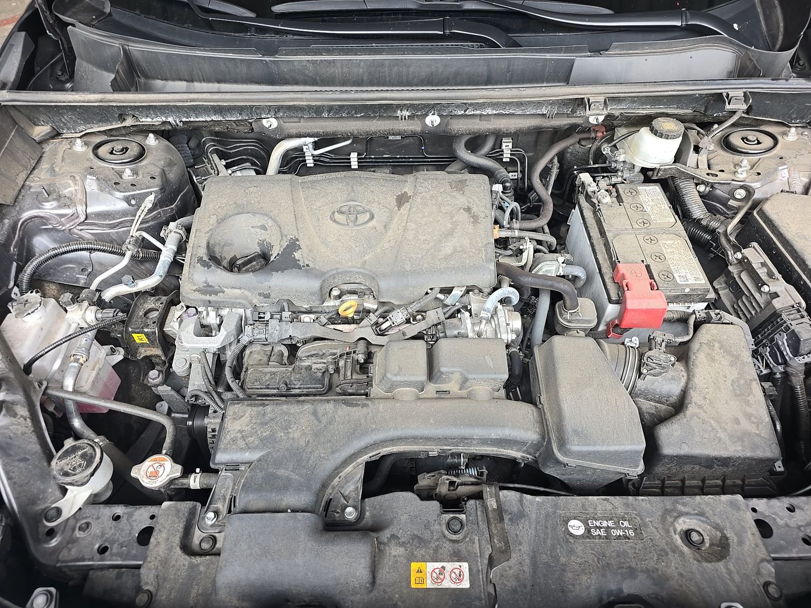 2024 Toyota RAV4 XLE FWD