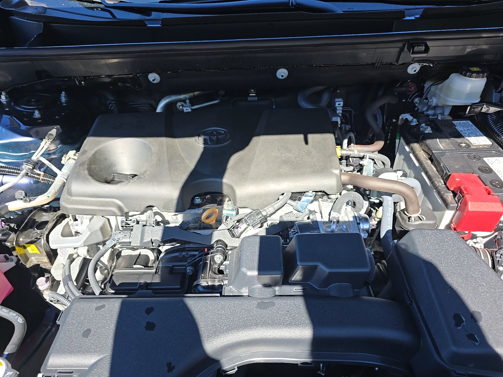 2025 Toyota RAV4 XLE FWD