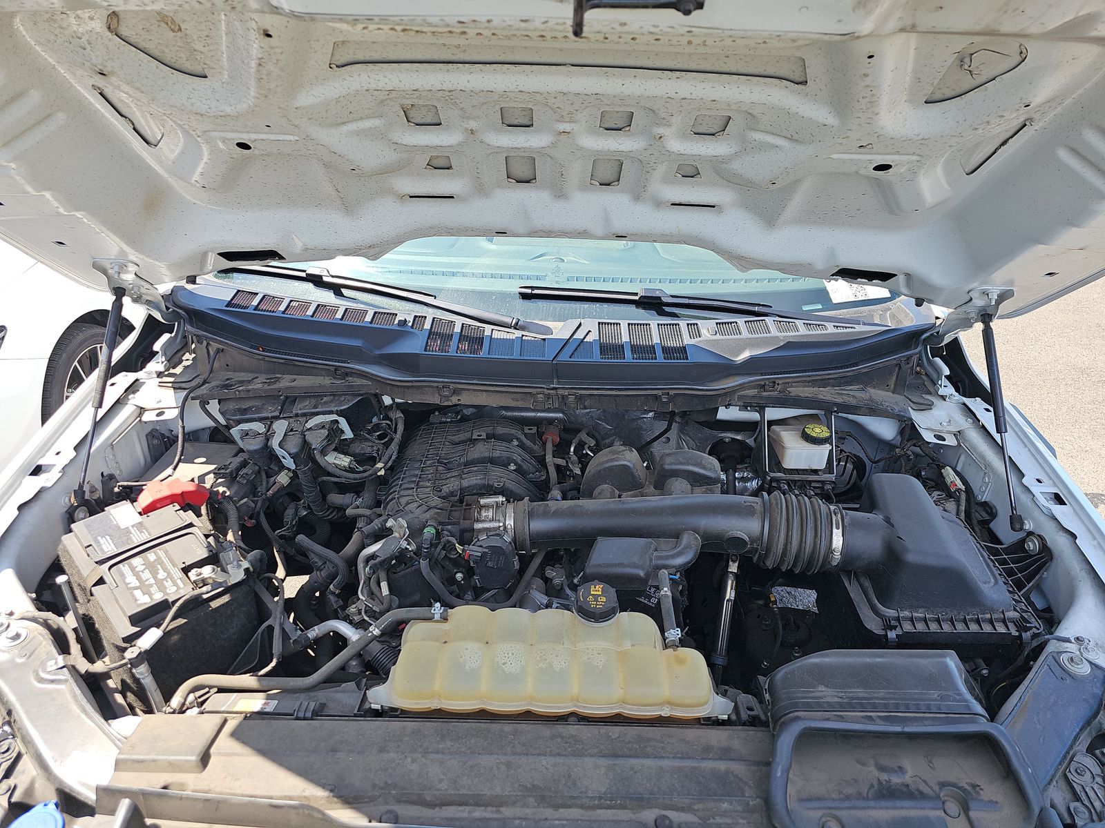 2021 Ford F-150 XL RWD