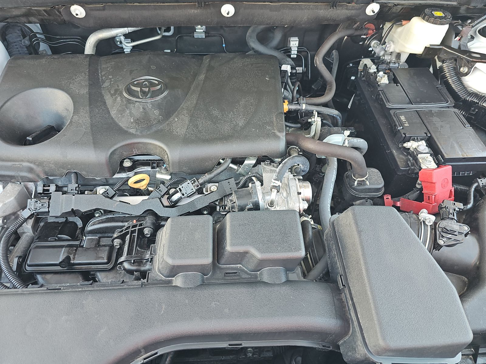 2024 Toyota RAV4 LE FWD