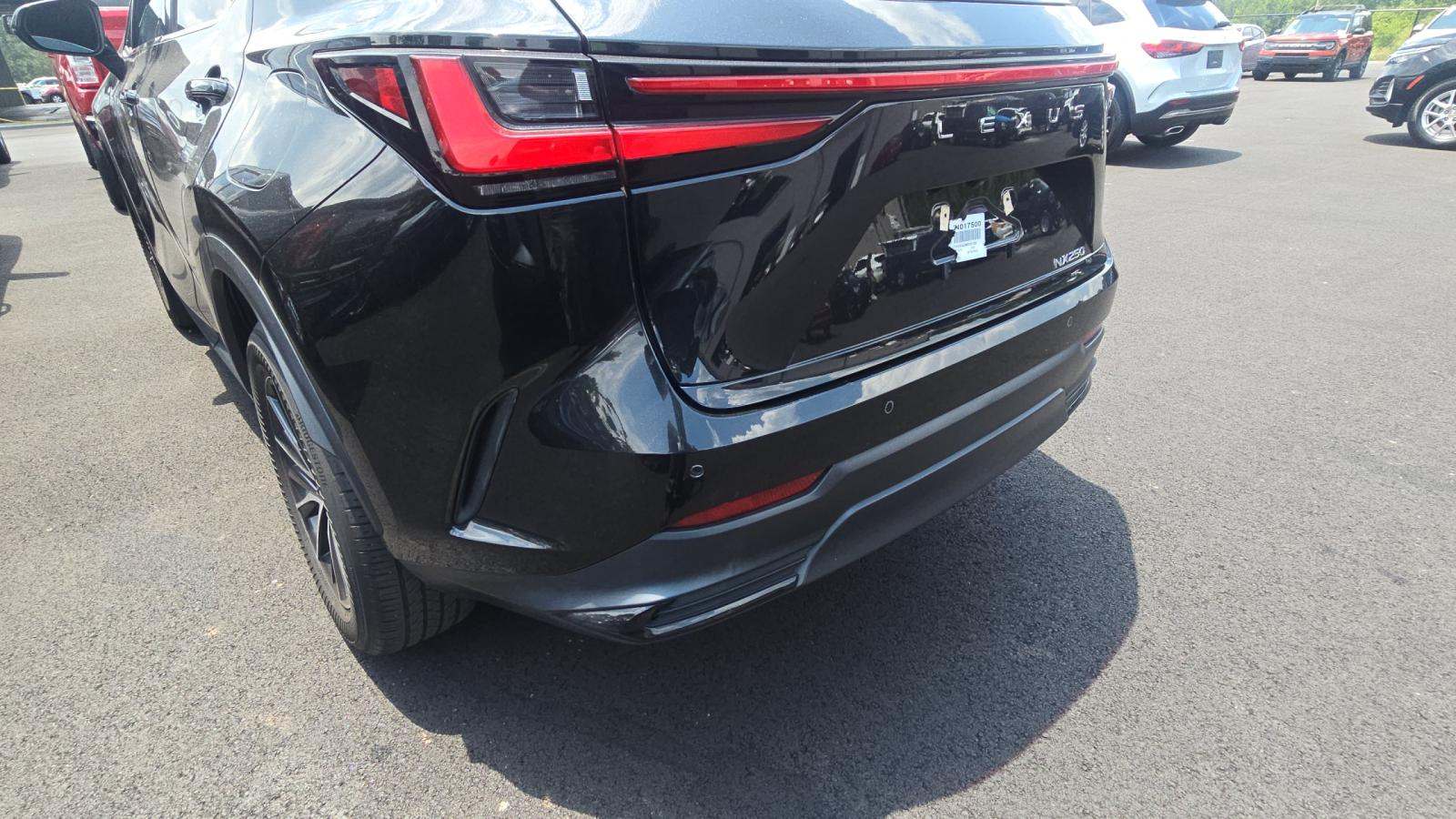 2024 Lexus NX NX 250 Premium FWD