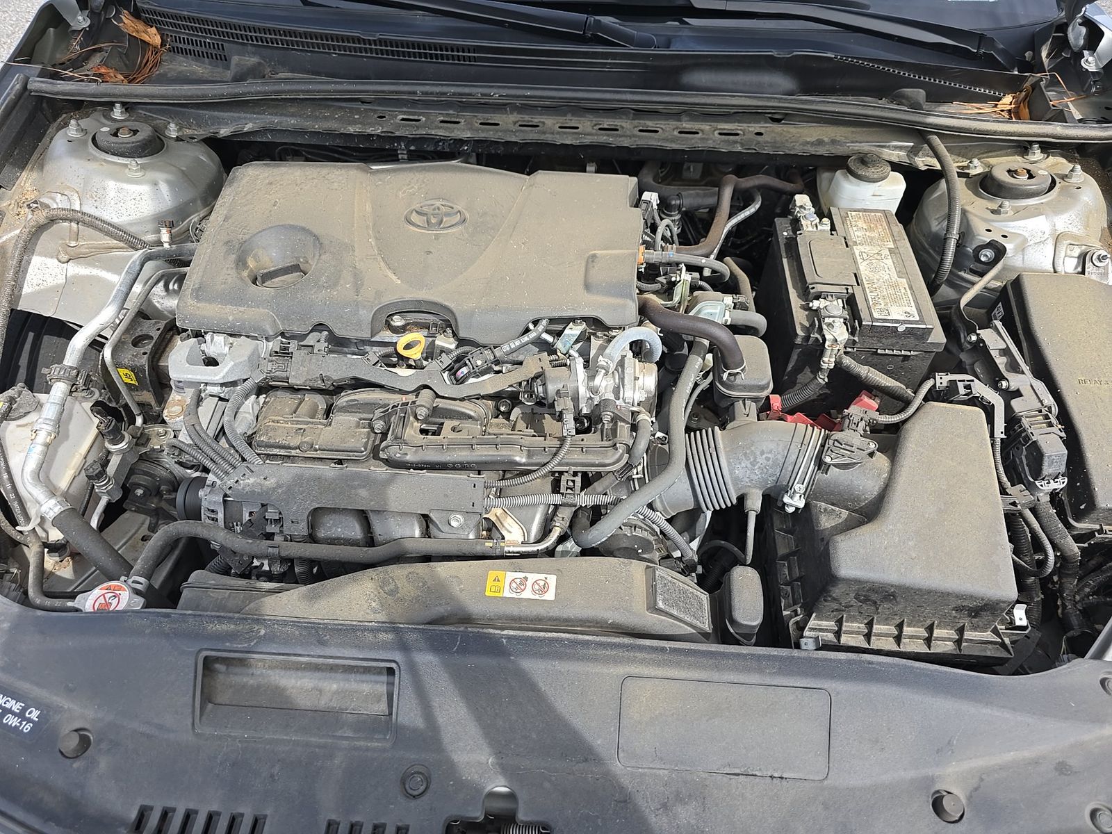2024 Toyota Camry LE FWD