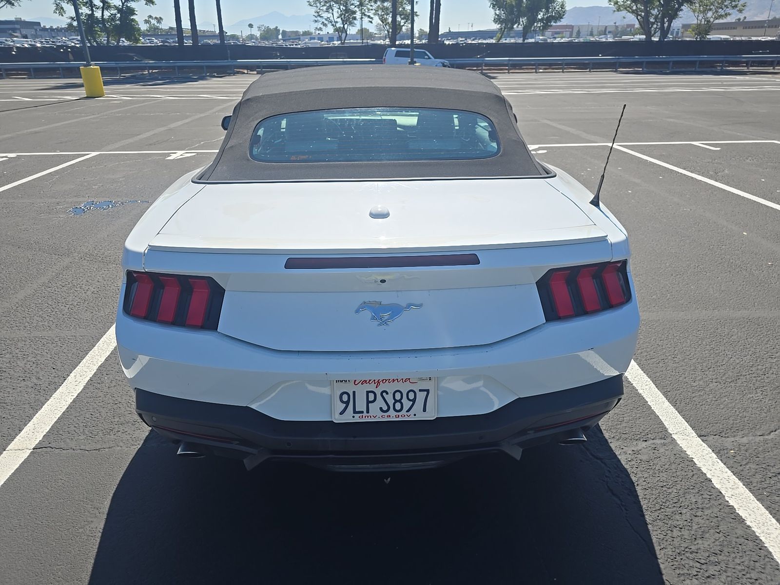2024 Ford Mustang EcoBoost Premium RWD