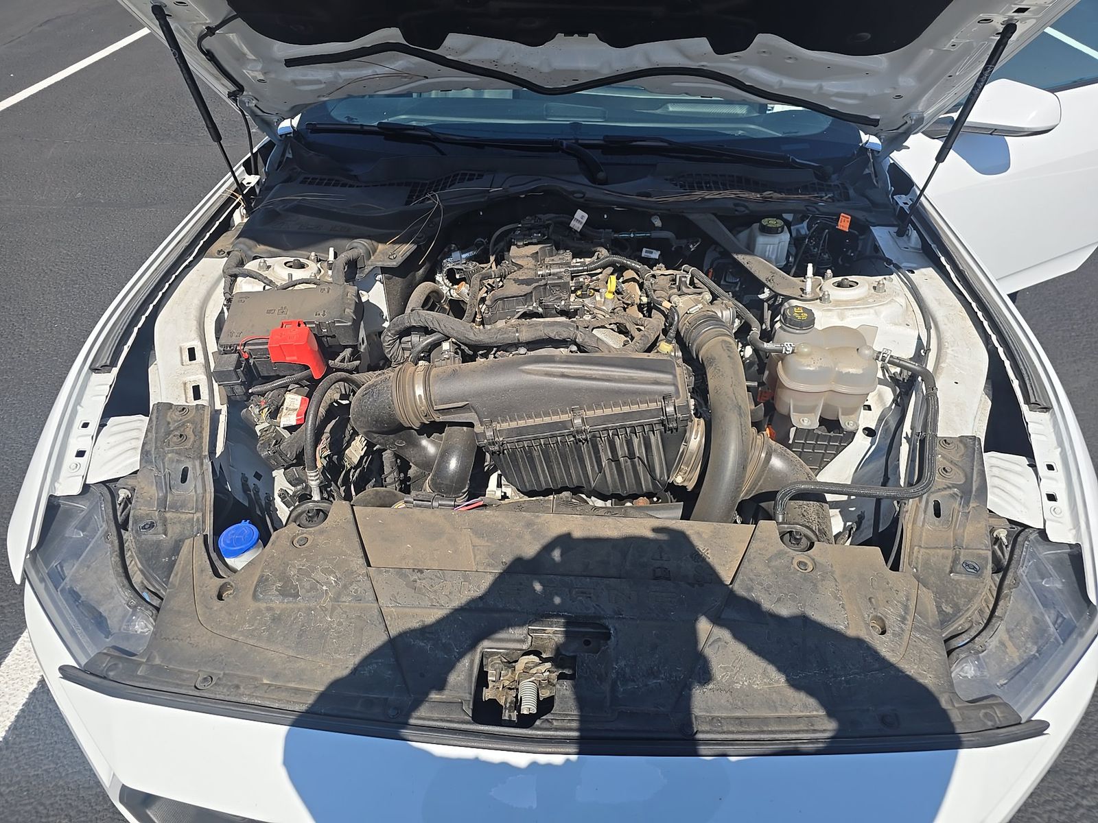 2024 Ford Mustang EcoBoost Premium RWD