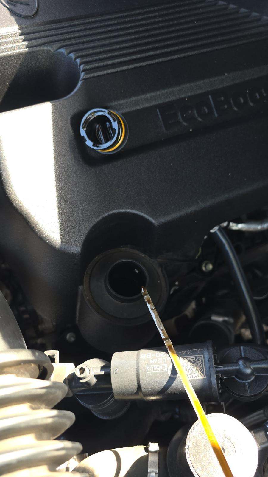 2019 Ford F-150 XLT RWD
