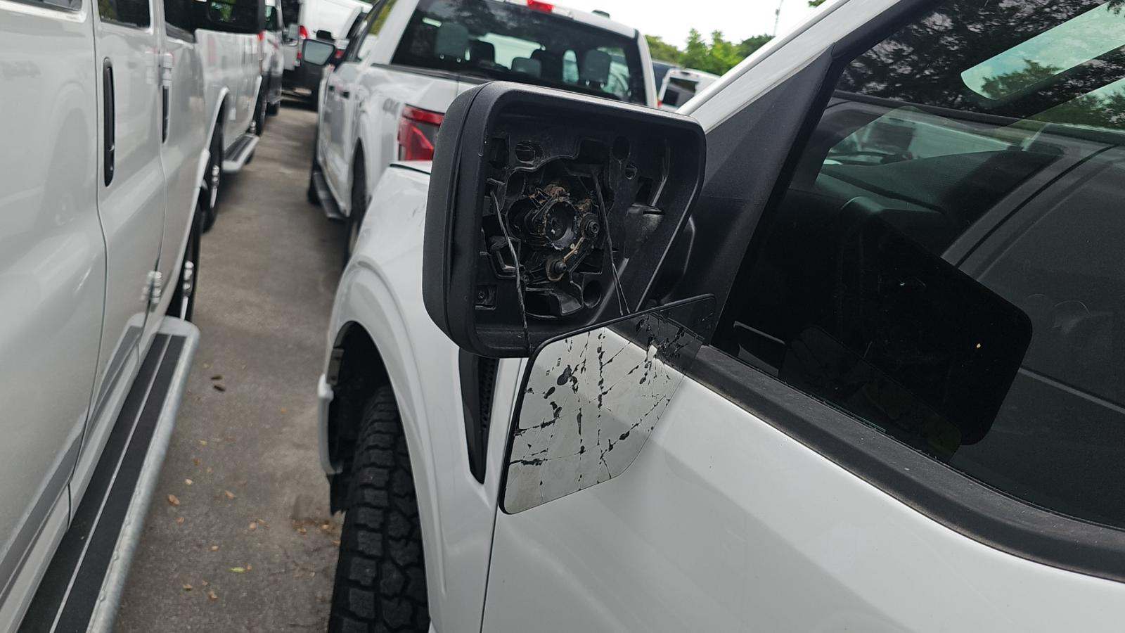 2025 Ford F-150 XLT AWD