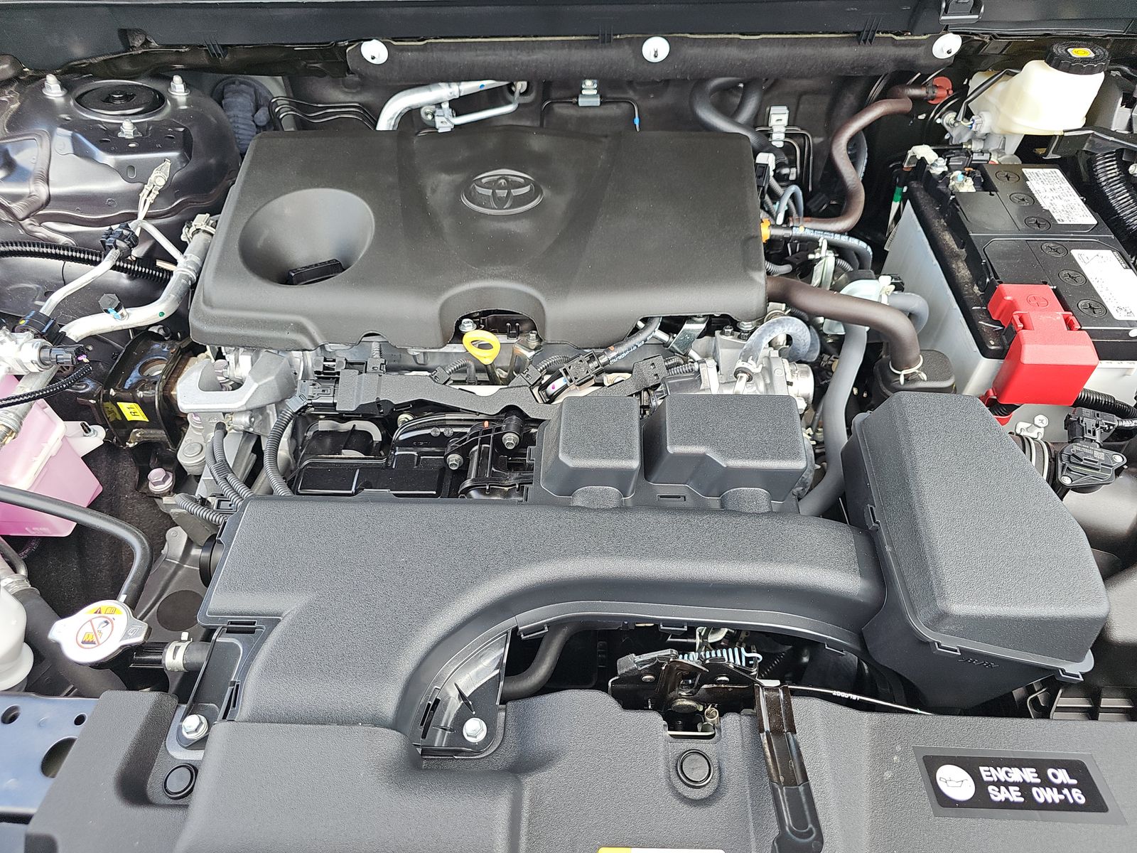 2025 Toyota RAV4 LE FWD
