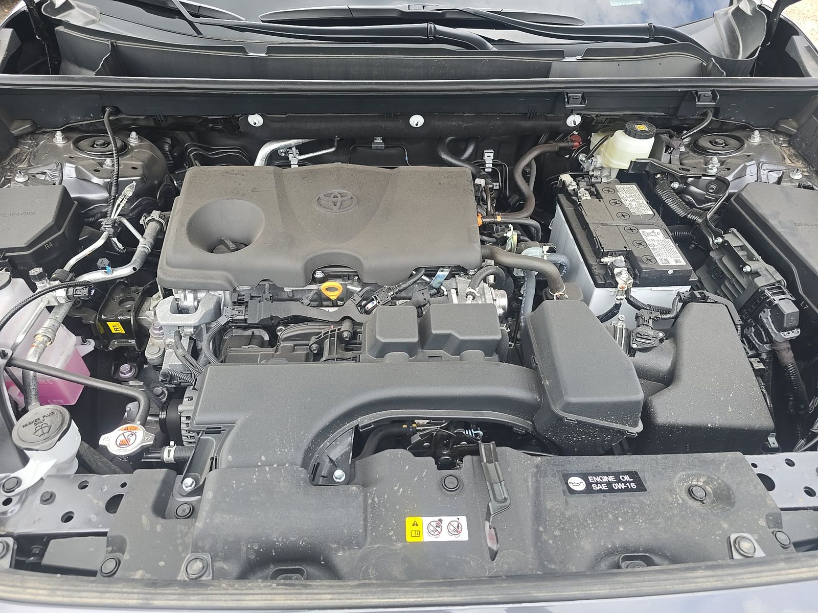 2025 Toyota RAV4 XLE AWD