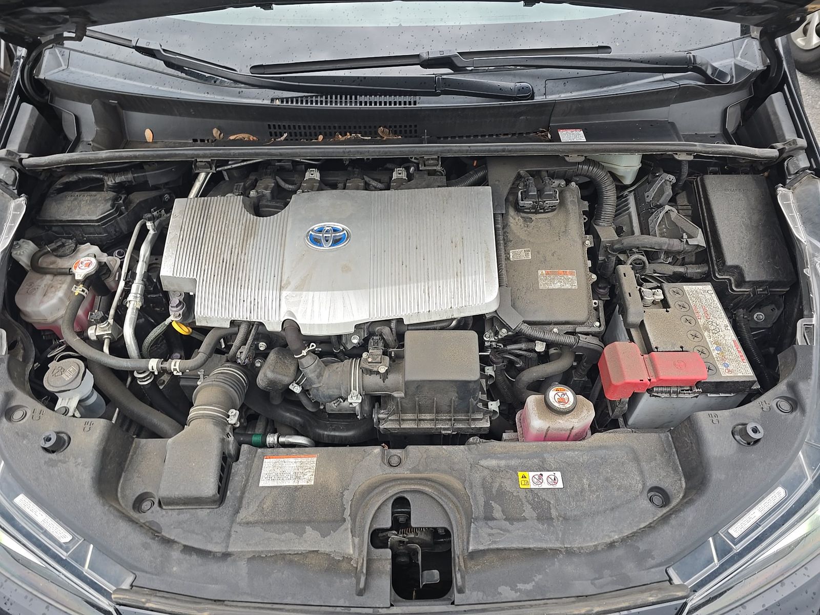 2022 Toyota Prius XLE FWD