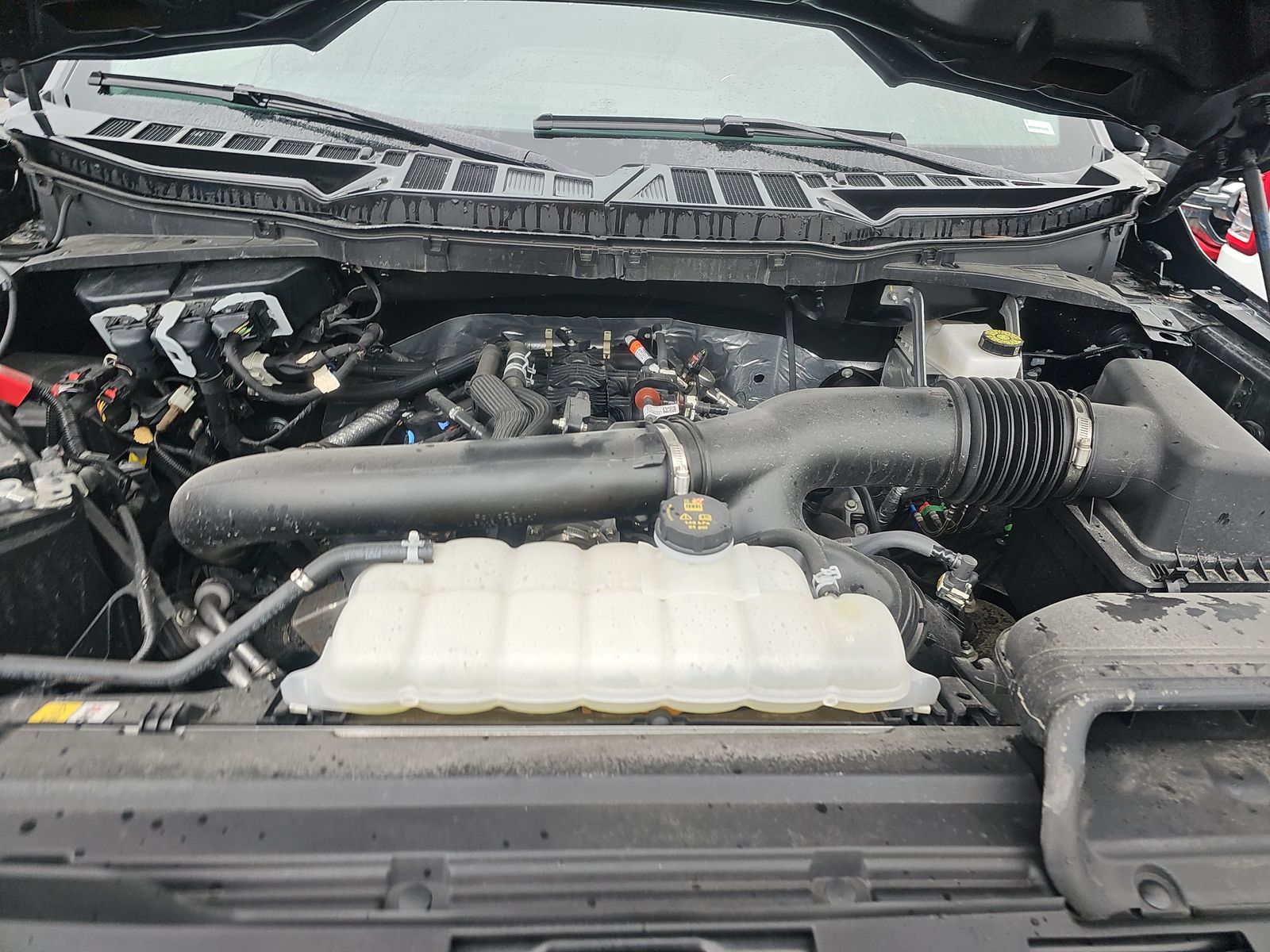 2025 Ford F-150 XLT AWD