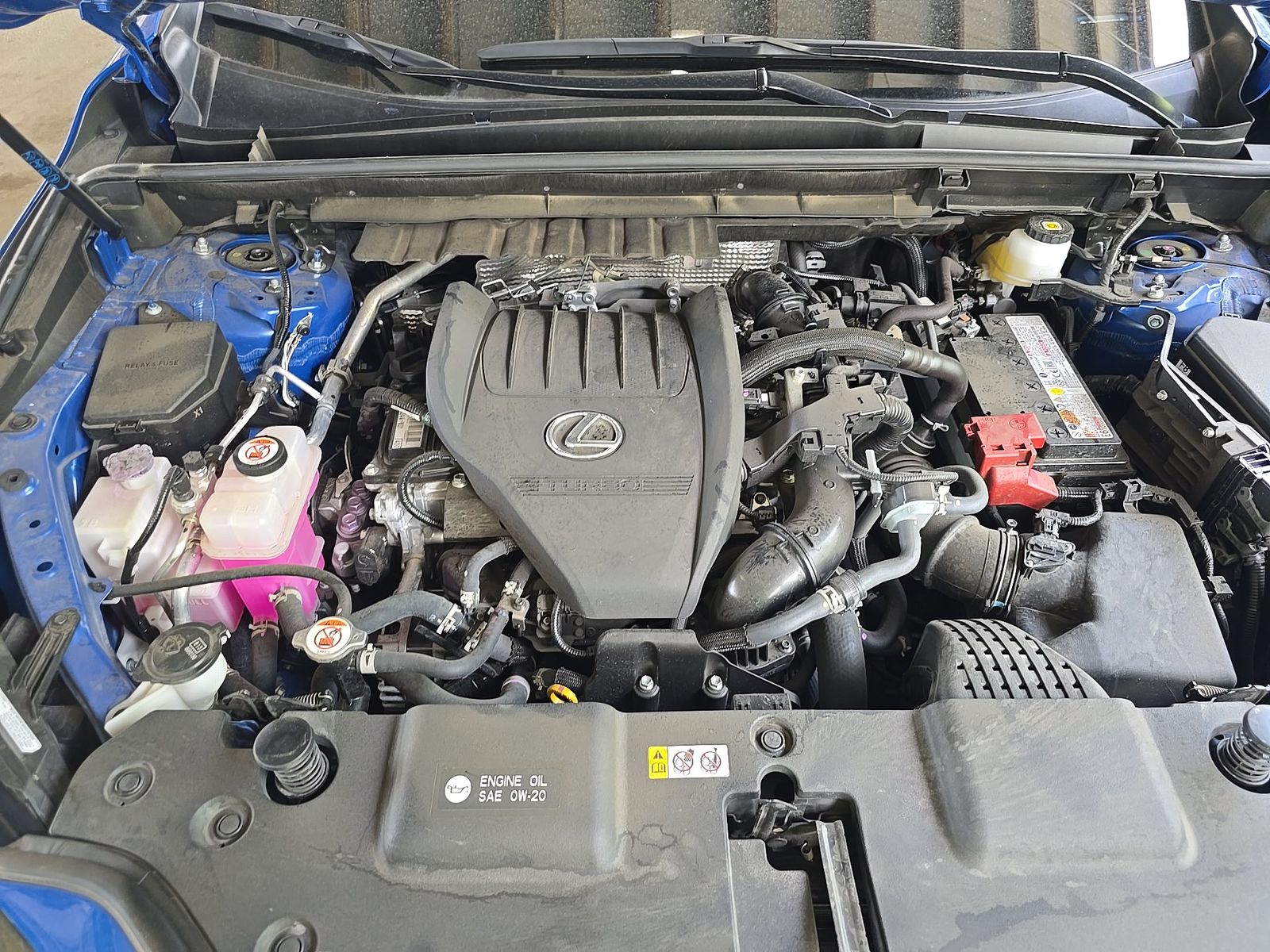2025 Lexus NX NX 350 Premium AWD