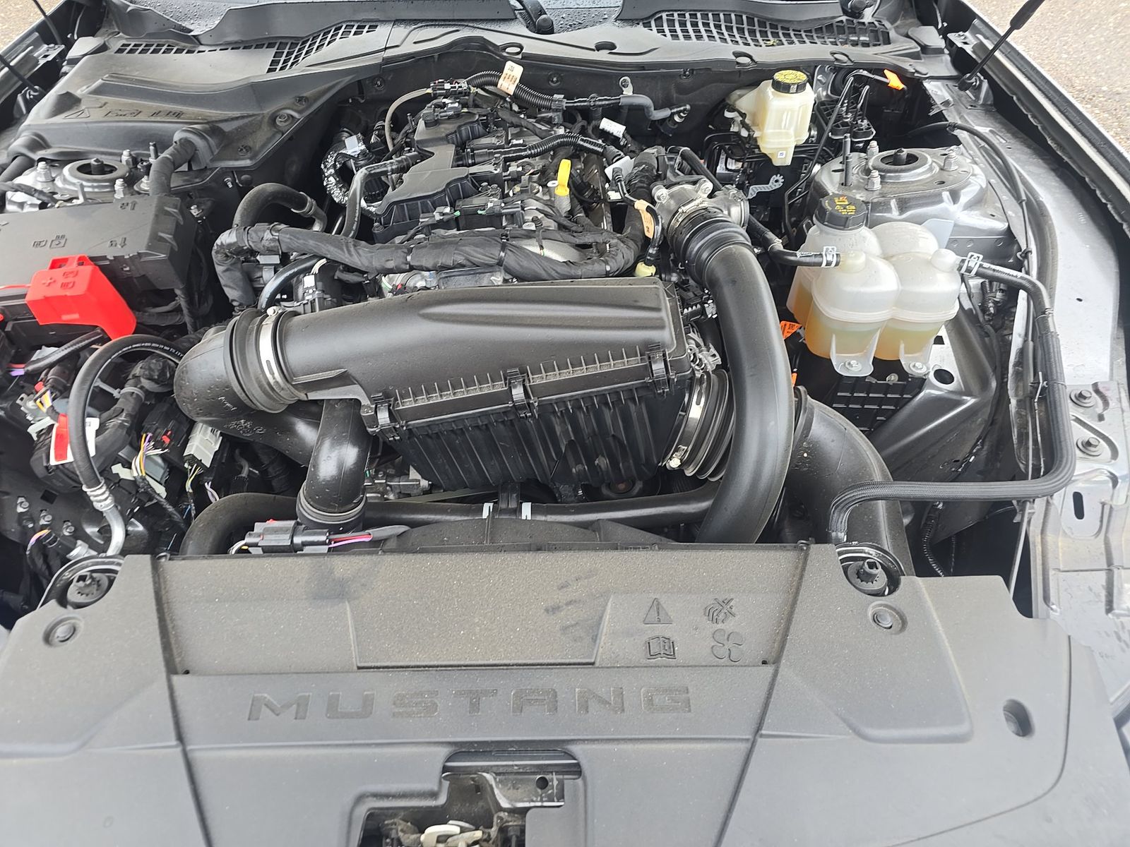 2026 Ford Mustang EcoBoost Premium RWD