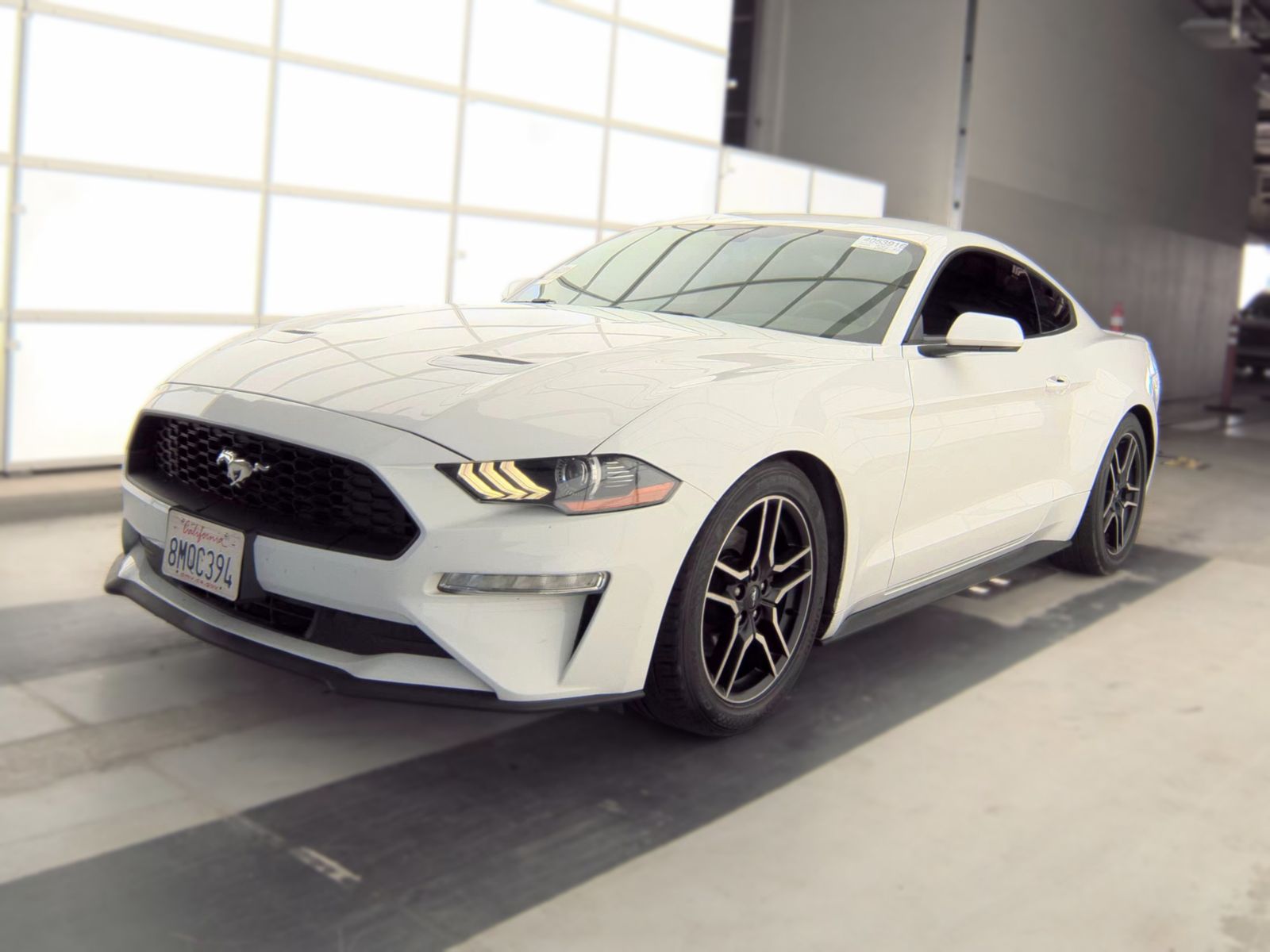 2019 Ford Mustang EcoBoost RWD