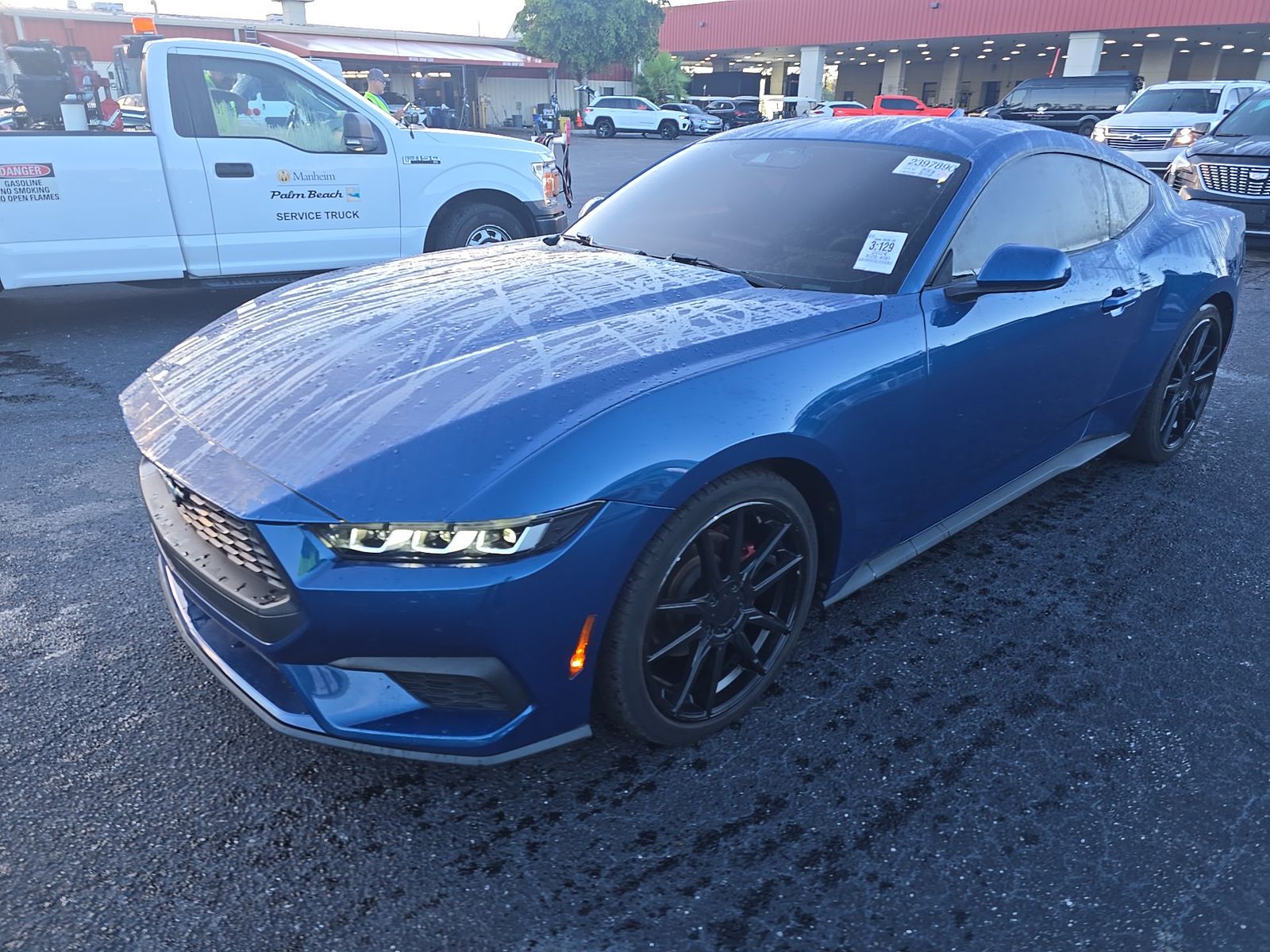 2024 Ford Mustang EcoBoost RWD